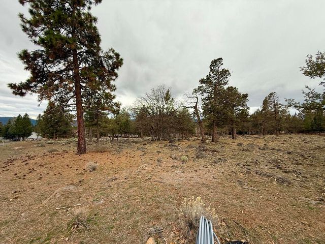 0 Dowitcher Road Lot 533, Klamath Falls, OR 97601