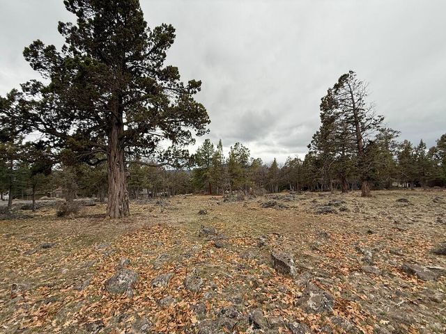 0 Dowitcher Road Lot 533, Klamath Falls, OR 97601