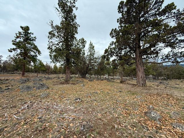 0 Dowitcher Road Lot 533, Klamath Falls, OR 97601