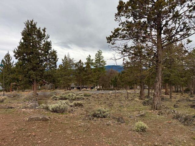 0 Dowitcher Road Lot 533, Klamath Falls, OR 97601