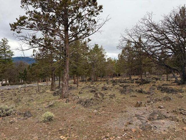 0 Dowitcher Road Lot 533, Klamath Falls, OR 97601