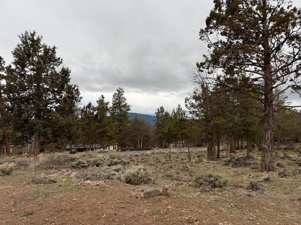 0 Dowitcher Road Lot 533, Klamath Falls, OR 97601