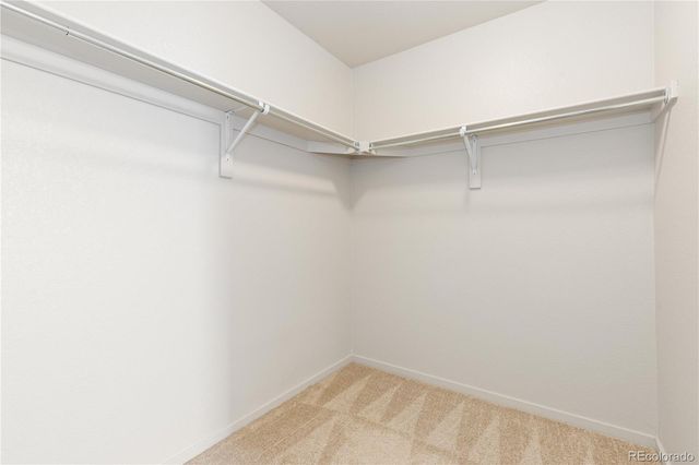 12746 River Rock Way, Longmont, CO 80504