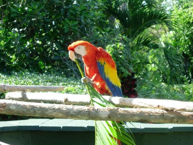 4200 N Ocean Drive 2-201, Singer Island, FL 33404