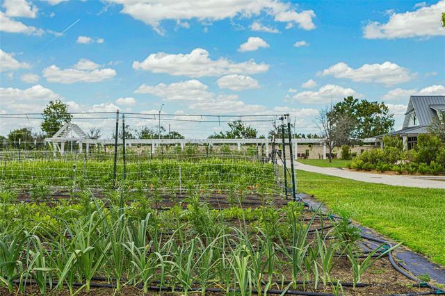 10989 WISHING CLOUD ROAD, Land O Lakes, FL 34638