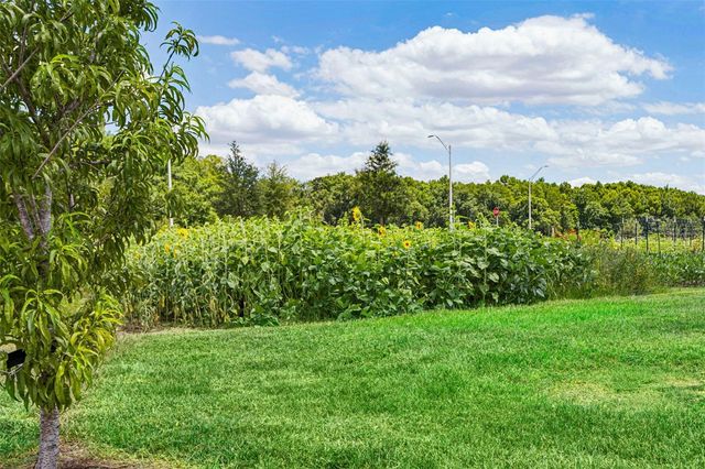 10989 WISHING CLOUD ROAD, Land O Lakes, FL 34638