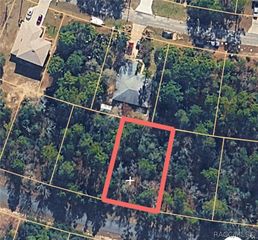 7358 N Veronica Drive, Citrus Springs, FL 34433