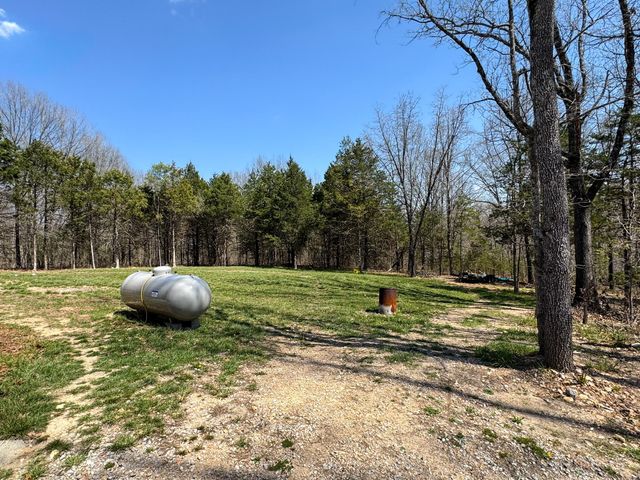 290 Mccord Bend Road, Galena, MO 65656