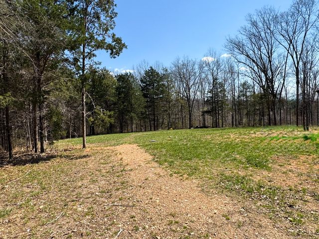 290 Mccord Bend Road, Galena, MO 65656