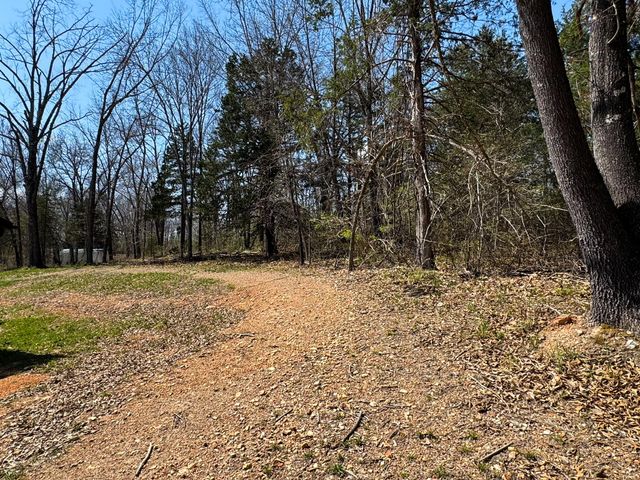 290 Mccord Bend Road, Galena, MO 65656