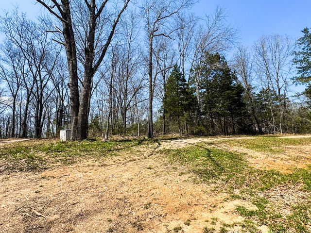 290 Mccord Bend Road, Galena, MO 65656
