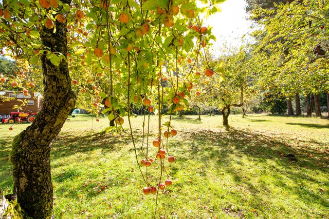 27277 Lower Smith River Road, Reedsport, OR 97467