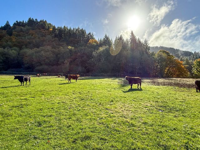 27277 Lower Smith River Road, Reedsport, OR 97467