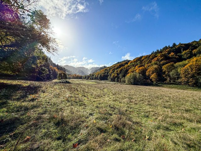 27277 Lower Smith River Road, Reedsport, OR 97467