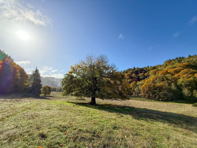 27277 Lower Smith River Road, Reedsport, OR 97467