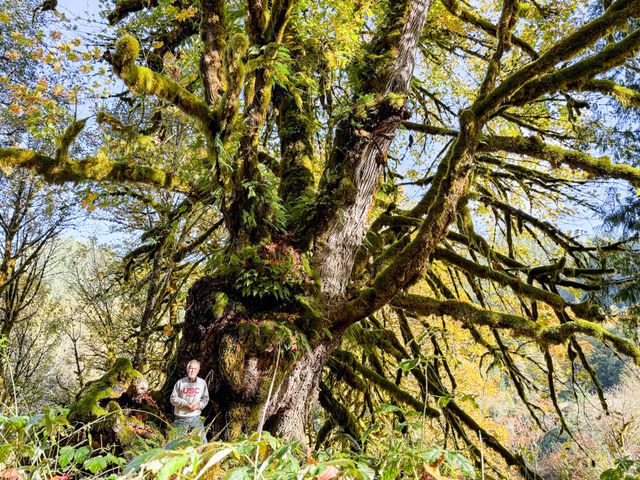 27277 Lower Smith River Road, Reedsport, OR 97467