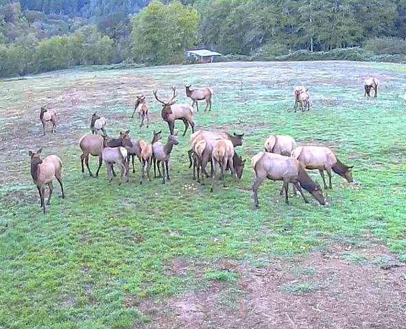 27277 Lower Smith River Road, Reedsport, OR 97467