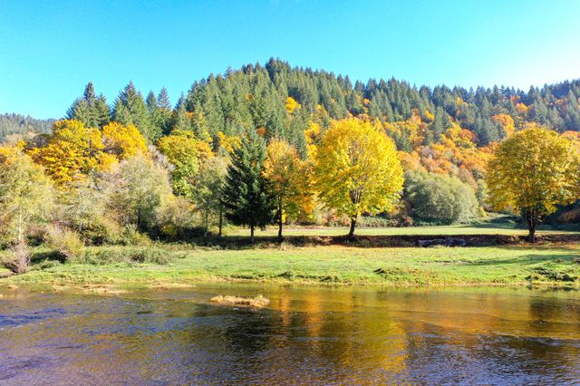 27277 Lower Smith River Road, Reedsport, OR 97467