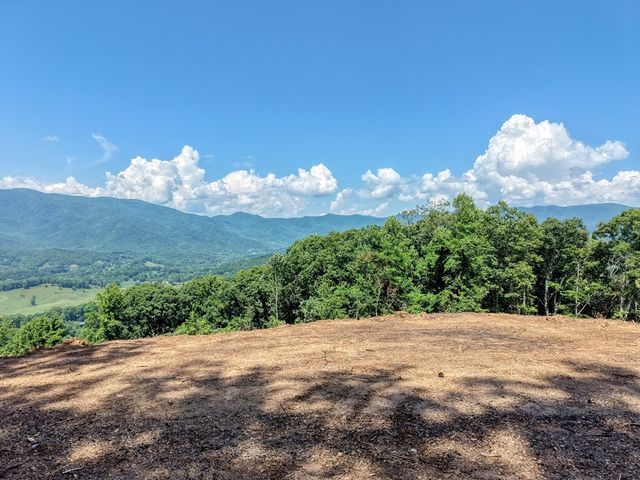 LOT 125 Shiloh Drive, Hayesville, NC 28904