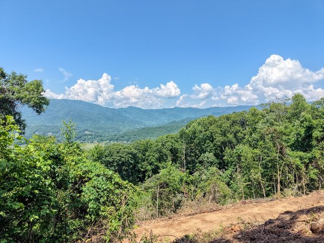 LOT 125 Shiloh Drive, Hayesville, NC 28904