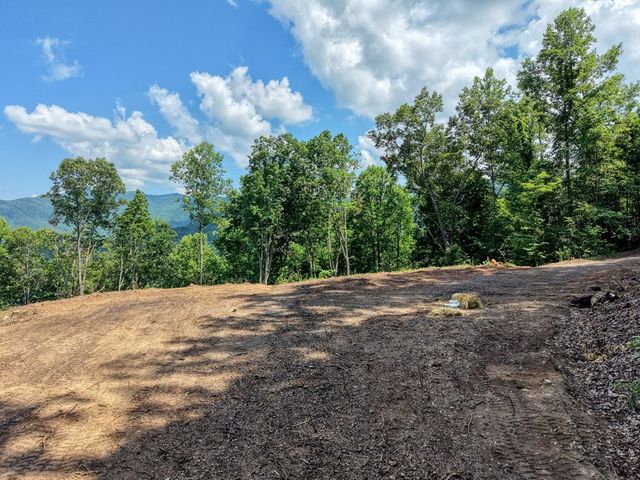 LOT 125 Shiloh Drive, Hayesville, NC 28904