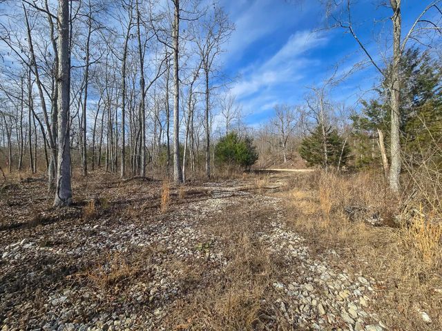 11936 Greenwood Road, Cabool, MO 65689