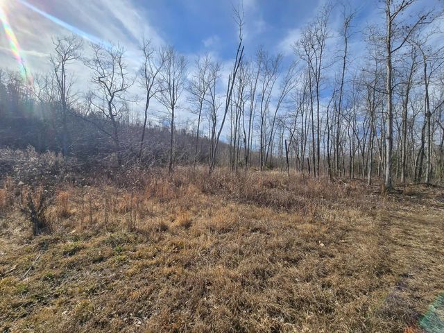 11936 Greenwood Road, Cabool, MO 65689