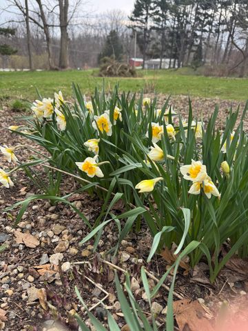 8256 E State Road 2, New Carlisle, IN 46552