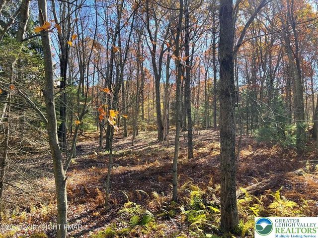 226 Bear Creek Lake Drive, Penn Forest Twp, PA 18229