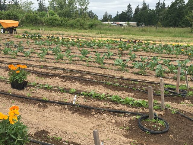 14001 S UNION MILLS Rd, Mulino, OR 97042