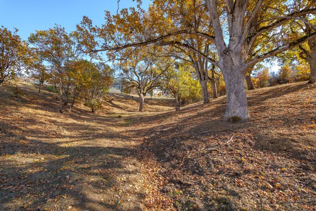 7499 Highway 238, Jacksonville, OR 97530