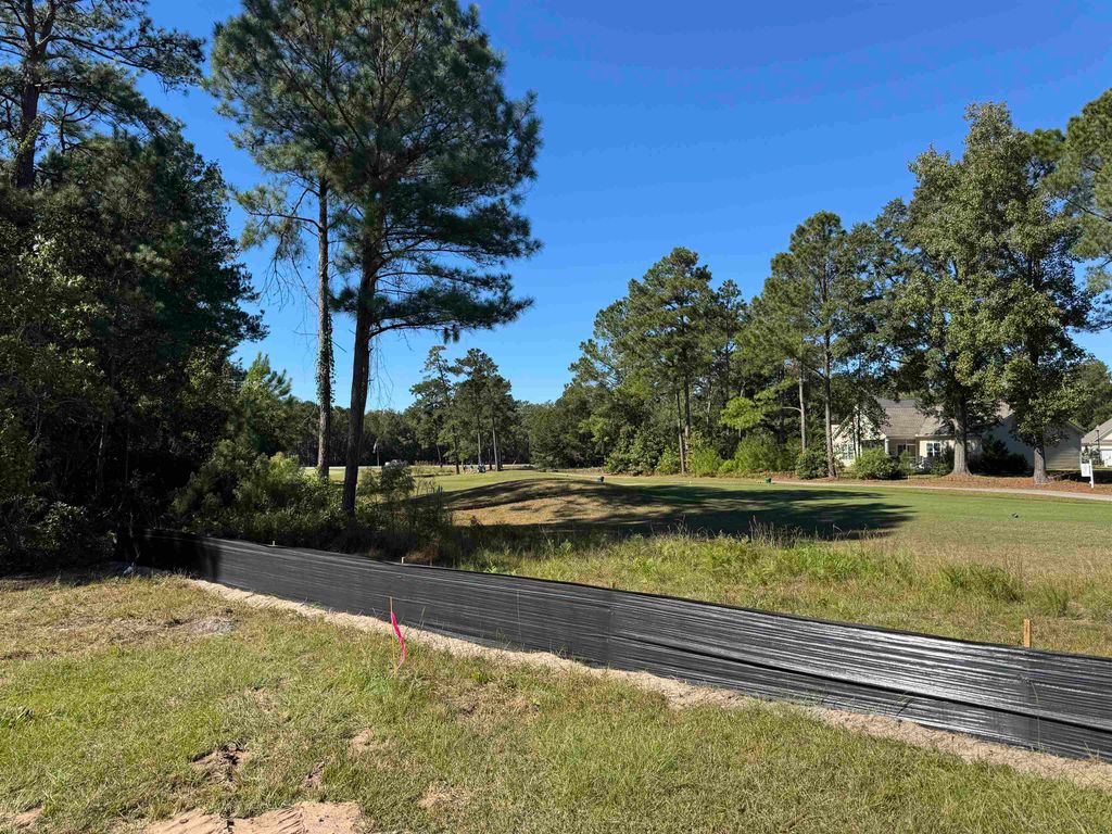 145 Green Valley Way, Loris, SC 29569 — photo 2