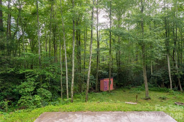 4035 Bald Creek Road, Clyde, NC 28721