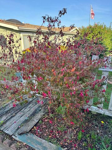 131 1090 Murray Road 131, Mckinleyville, CA 95519