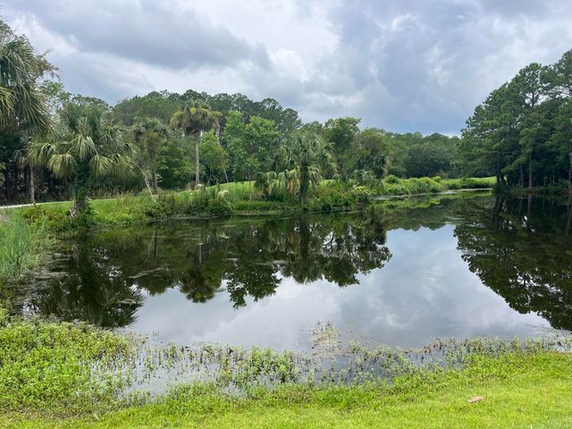 1602 Hopeman Lane, Mount Pleasant, SC 29466