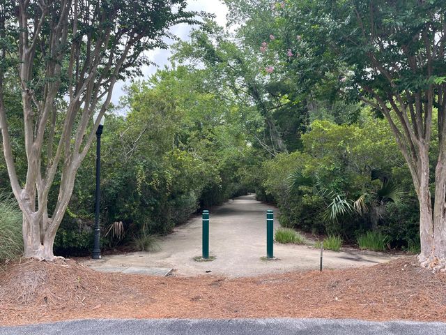 1602 Hopeman Lane, Mount Pleasant, SC 29466