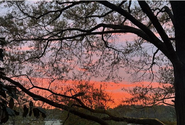 4505 Harding Pike Apt 22E, Nashville, TN 37205