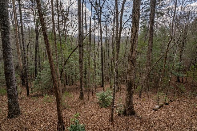 79 Serenity Lane, Murphy, NC 28906
