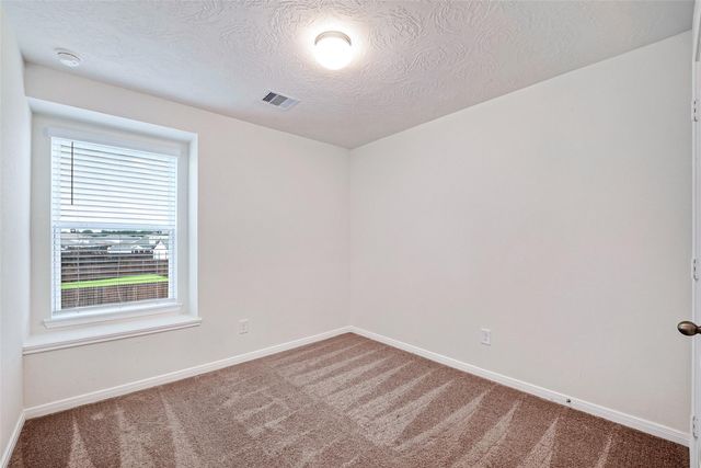 15723 Autumn Chicory Drive, Houston, TX 77044