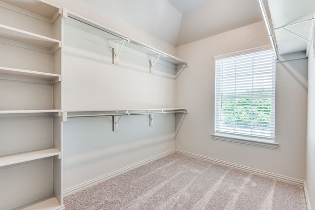 8913 Swallowtail Street, Frisco, TX 75035