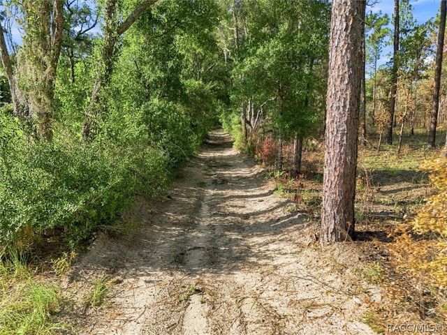 2720 E Fawn Court, Inverness, FL 34452