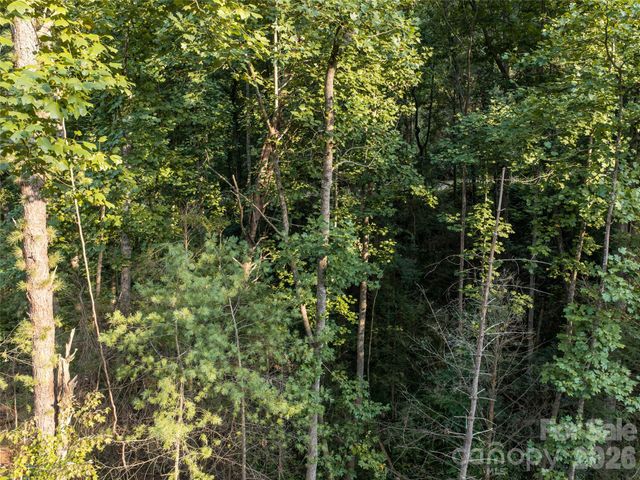 45 Jake Ridge Trail, Fletcher, NC 28732