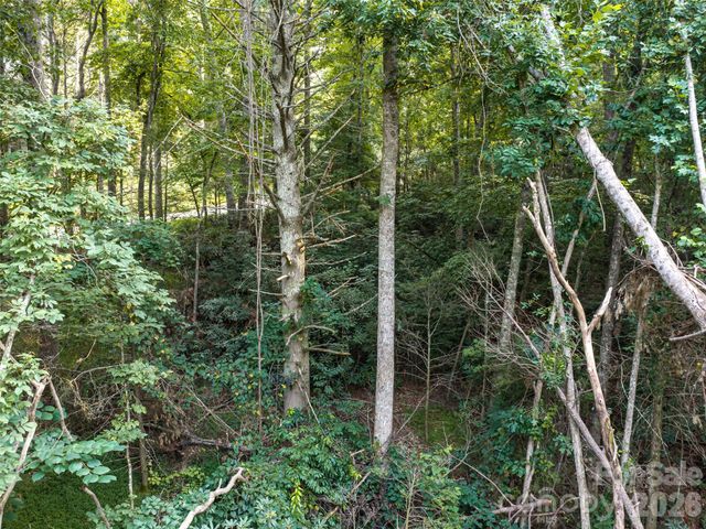 45 Jake Ridge Trail, Fletcher, NC 28732