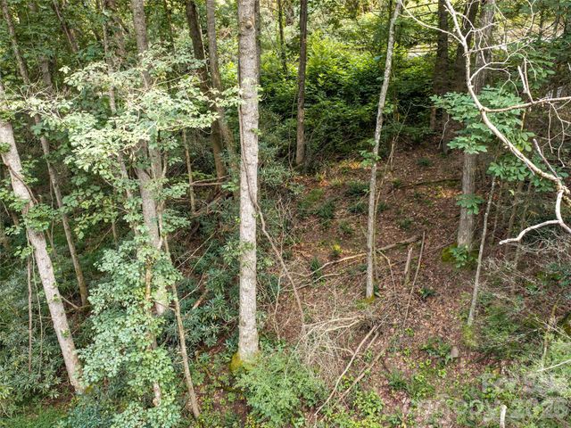 45 Jake Ridge Trail, Fletcher, NC 28732