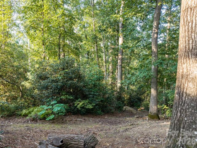45 Jake Ridge Trail, Fletcher, NC 28732
