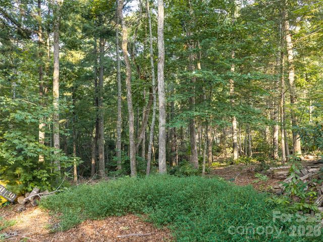 45 Jake Ridge Trail, Fletcher, NC 28732