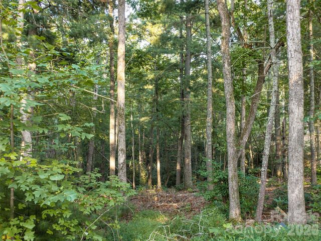 45 Jake Ridge Trail, Fletcher, NC 28732