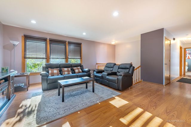 20052 S Sycamore Drive, Frankfort, IL 60423