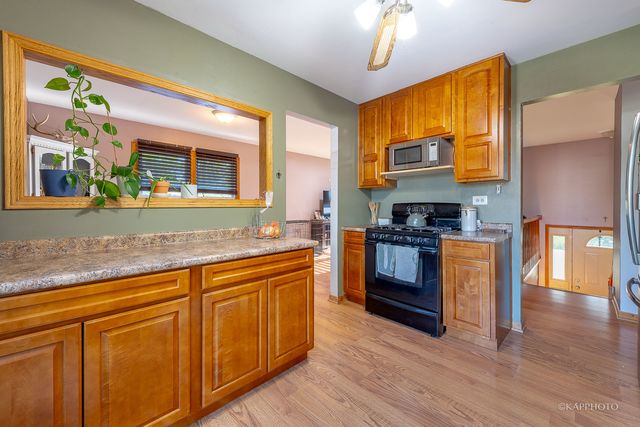 20052 S Sycamore Drive, Frankfort, IL 60423