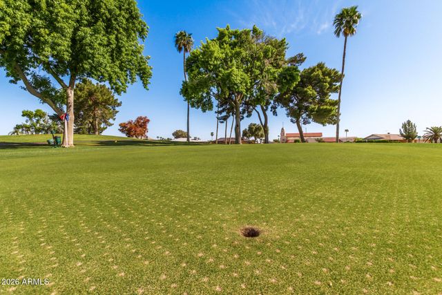 18003 N 134TH Drive, Sun City West, AZ 85375